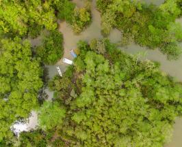 VEREDA GAMBOA, LA NUEVA ÁREA PROTEGIDA DEL VALLE: 2.469 HECTÁREAS EN EL DISTRITO ESPECIAL DE BUENAVETURA