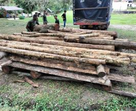 LUCHA CONTRA LOS TRAFICANTES DE MADERA: CVC DECOMISA MATERIAL ILEGAL EN CARTAGO