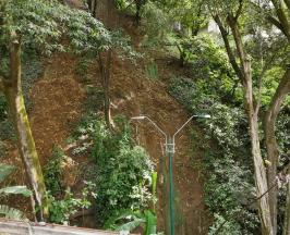 POR RIESGO DE DESLIZAMIENTOS SE INTERVINIERON SIETE ÁRBOLES EN EL MUSEO LA TERTULIA