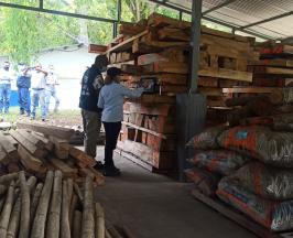 CAMBIA EL PAPEL POR LA LEGALIDAD DIGITAL. CONOCE EL LIBRO DE OPERACIONES FORESTALES EN LÍNEA