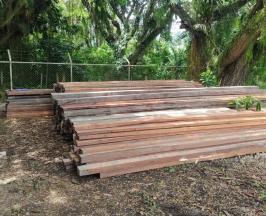 CVC DECOMISA 456 VARAS DE MANGLE Y ABRE PROCESO SANCIONATORIO