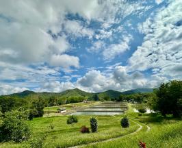 MÁS ALLÁ DEL AULA: ESTUDIANTES DE UNICAUCA APRENDEN EN LABORATORIO DE LA CVC