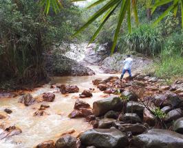 SITUACIÓN RÍO CALI