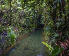 ¡POR PRIMERA VEZ EN TV! EL DOCUMENTAL QUE MUESTRA 70 JOYAS DE NUESTRA BIODIVERSIDAD