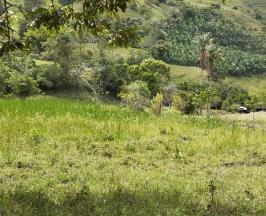 COMUNIDAD DE EL CAIRO CONFIRMA LA PUREZA DE SUS AGUAS