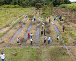 ¿LE GUSTAN LOS BOSQUES? PONGA EL TERRENO Y LA CVC LE ENTREGA LOS ÁRBOLES