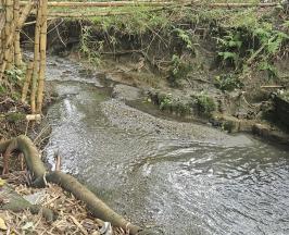 PALMIRA CUENTA CON UN MANANTIAL DE AGUA SUBTERRÁNEA: ASI LO REVELA UN INFORME DE LA CVC    