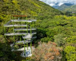 2025: EL AÑO EN QUE NUEVAMENTE LA GESTIÓN AMBIENTAL DE LA CVC DEJÓ HUELLA EN EL VALLE DEL CAUCA