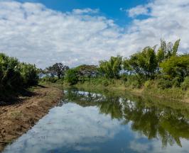 CVC HIZO LIMPIEZA MANUAL Y MECÁNICA A TRES HUMEDALES DE BOCAS DEL PALO