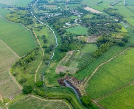 COMUNIDAD, CVC Y ASOCAÑA SE UNEN PARA LA RECUPERACIÓN DEL HUMEDAL EL ESTERO
