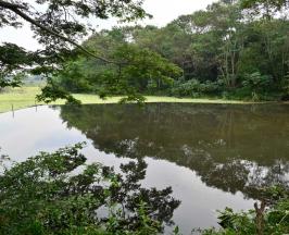 PLATANARES, PROTAGONISTA EN LA CELEBRACIÓN DEL DÍA MUNDIAL DE LOS HUMEDALES