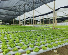 LA CVC IMPULSA LA EFICIENCIA ENERGÉTICA CON LA ENTREGA DE PANELES SOLARES