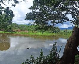 LA MADREVIEJA LA MARINA SE CONVIERTE EN EPICENTRO DE CONSERVACIÓN Y VIDA, EN EL MES DE LOS HUMEDALES