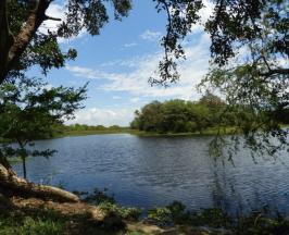 MONITOREO TÉCNICO PARA LA PROTECCION DE SUS SERVICIOS ECOSISTEMICOS