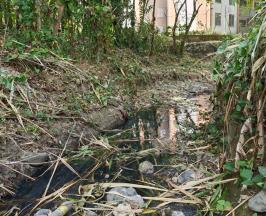 OBRAS DE MITIGACIÓN EN LA QUEBRADA EL BOSQUE HAN RESPONDIDO CON ÉXITO A LAS LLUVIAS