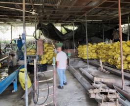 MADERAS PLÁSTICAS ECOLÓGICAS: EL NEGOCIO VERDE QUE TRANSFORMA 100 TONELADAS DE RESIDUOS AL MES