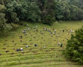 VALLE DEL CAUCA, PIONERO EN COLOMBIA EN LA IMPLEMENTACIÓN DE LA LEY DE ÁREAS DE VIDA