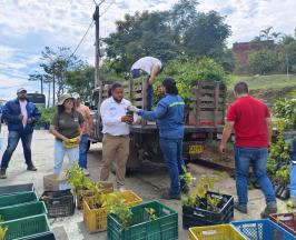 8.000 FAMILIAS DEL VALLE DEL CAUCA SE HAN BENEFICIADO DE “POR UN CAMPO MÁS SOSTENIBLE”
