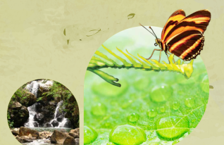 Concesión de Aguas Superficiales