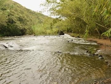 CVC NO PERMITIRÁ NINGÚN DAÑO AMBIENTAL EN PANCE