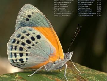 LANZAN LA GUÍA DE MARIPOSAS MÁS COMPLETA DEL PLANETA