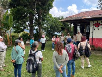 EN SEVILLA, JÓVENES FORTALECEN PROCESOS DE CONSERVACIÓN DE LA RANA RUBÍ