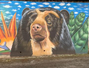 EL ÁGUILA VIVIÓ EL PRIMER FESTIVAL DEL OSO ANDINO