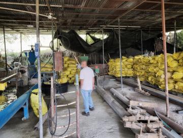 MADERAS PLÁSTICAS ECOLÓGICAS: EL NEGOCIO VERDE QUE TRANSFORMA 100 TONELADAS DE RESIDUOS AL MES