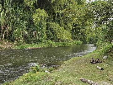 PROYECTO COMUNITARIO BUSCA CONSERVAR EL RÍO BOLO