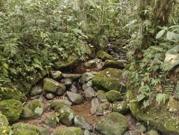 CVC HACE UN LLAMADO A CUIDAR EL AGUA Y A LA PREVENCIÓN DE INCENDIOS FORESTALES