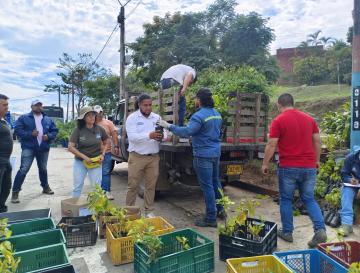 8.000 FAMILIAS DEL VALLE DEL CAUCA SE HAN BENEFICIADO DE “POR UN CAMPO MÁS SOSTENIBLE”