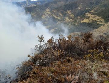 DOS MESES DE LLAMAS EN ZONA RURAL DE BUGA. LA BATALLA NO DA TREGUA
