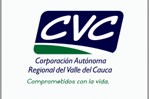 FORMATO
