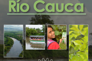 Semana del Río Cauca > Documentos (Paragraphs)