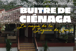 Centros de Educación Ambiental > Documentos (Paragraphs)
