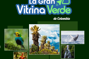 Semana de la Biodiversidad Cali  > Documentos (Paragraphs)