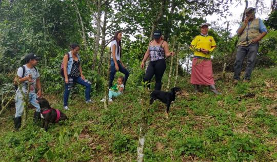 MUJERES DE SEVILLA SEMBRARON 80 ÁRBOLES NATIVOS EN ECOLANDIA 