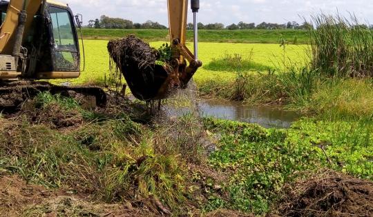 CONTINUA LA LIMPIEZA DE HUMEDALES EN EL VALLE