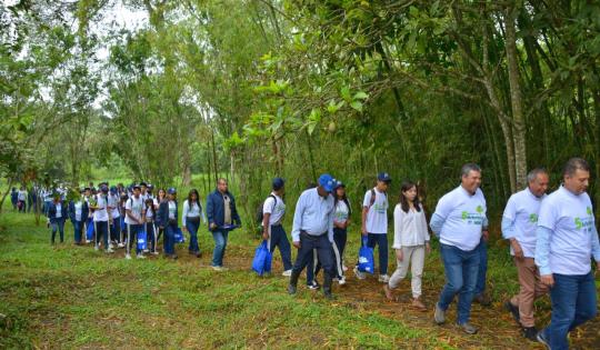 "VALLE MÁS VERDE" LLEGÓ A LOS 5 MILLONES DE ÁRBOLES SEMBRADOS