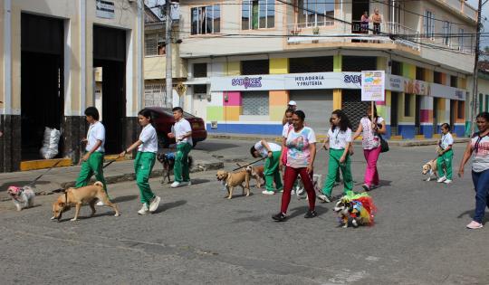 LOS ANIMALES SON SINÓNIMO DE RESPONSABILIDAD Y AMOR EN CAICEDONIA