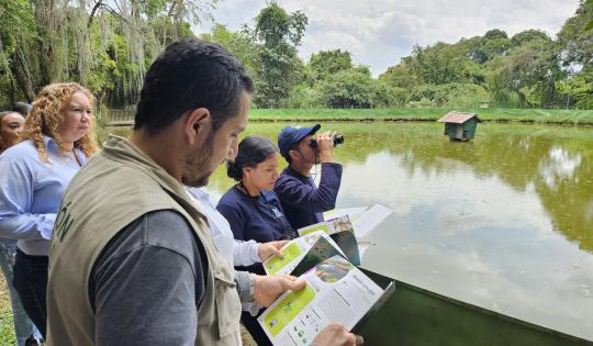 DESARROLLAMOS GUÍA DE AVES DE LA VEREDA SAN EMIGDIO, EN PALMIRA  