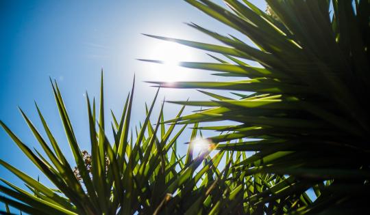 EN EL VALLE DEL CAUCA SE REGISTRÓ LA TEMPERATURA MÁS ALTA DE SU HISTORIA