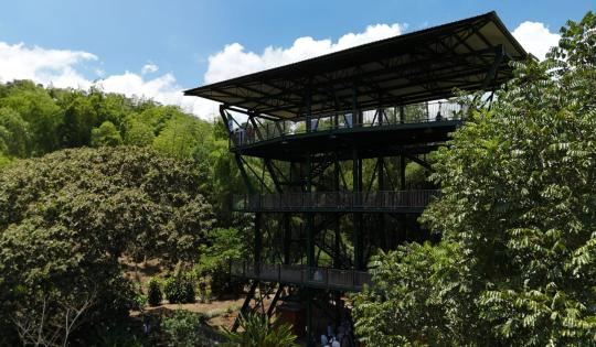 EL TURISMO DE NATURALEZA SE FORTALECE EN EL VALLE CON EL NUEVO CENTRO DE EDUCACIÓN AMBIENTAL LAS HELICONIAS