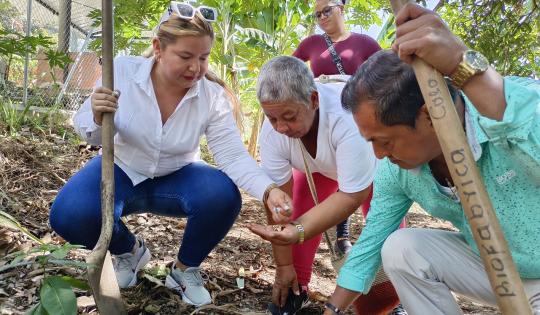 ADULTOS MAYORES DE DAGUA CULTIVAN HUERTA ORGÁNICA URBANA 