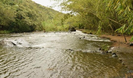 CVC NO PERMITIRÁ NINGÚN DAÑO AMBIENTAL EN PANCE