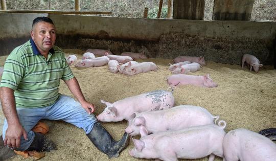 CAMPESINO DE BOLÍVAR INCORPORA PRÁCTICAS SOSTENIBLES EN SU FINCA