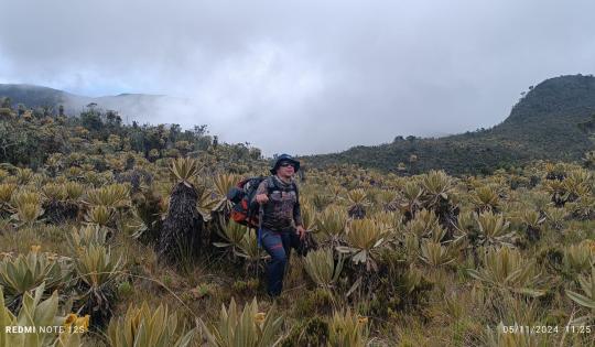 PÁRAMO DEL DUENDE SIGUE SIENDO UNO DE LO MÁS CONSERVADOS EN COLOMBIA