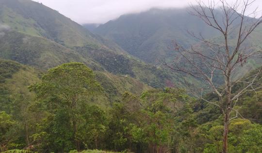 CON UNA INVERSIÓN DE 124 MILLONES, CVC Y RESGUARDO INDÍGENA CONTINUARÁN CUIDANDO EL AGUA DE FLORIDA