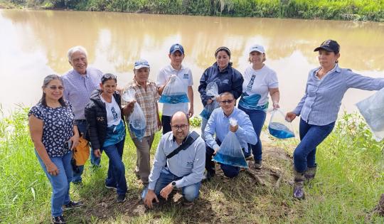 CVC REALIZÓ SIEMBRA DE 3.000 ALEVINOS DE BOCACHICO EN HUMEDALES DE BOLÍVAR, VALLE