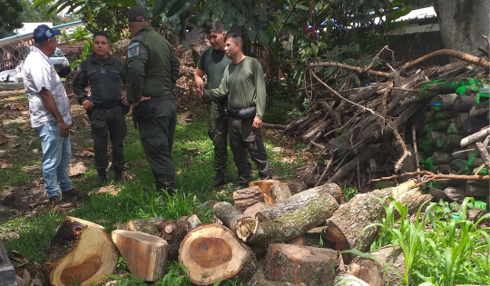 CVC, POLICÍA Y EJÉRCITO REFUERZAN CONTROL CONTRA EL TRÁFICO DE MADERA Y CARBÓN EN TULUÁ